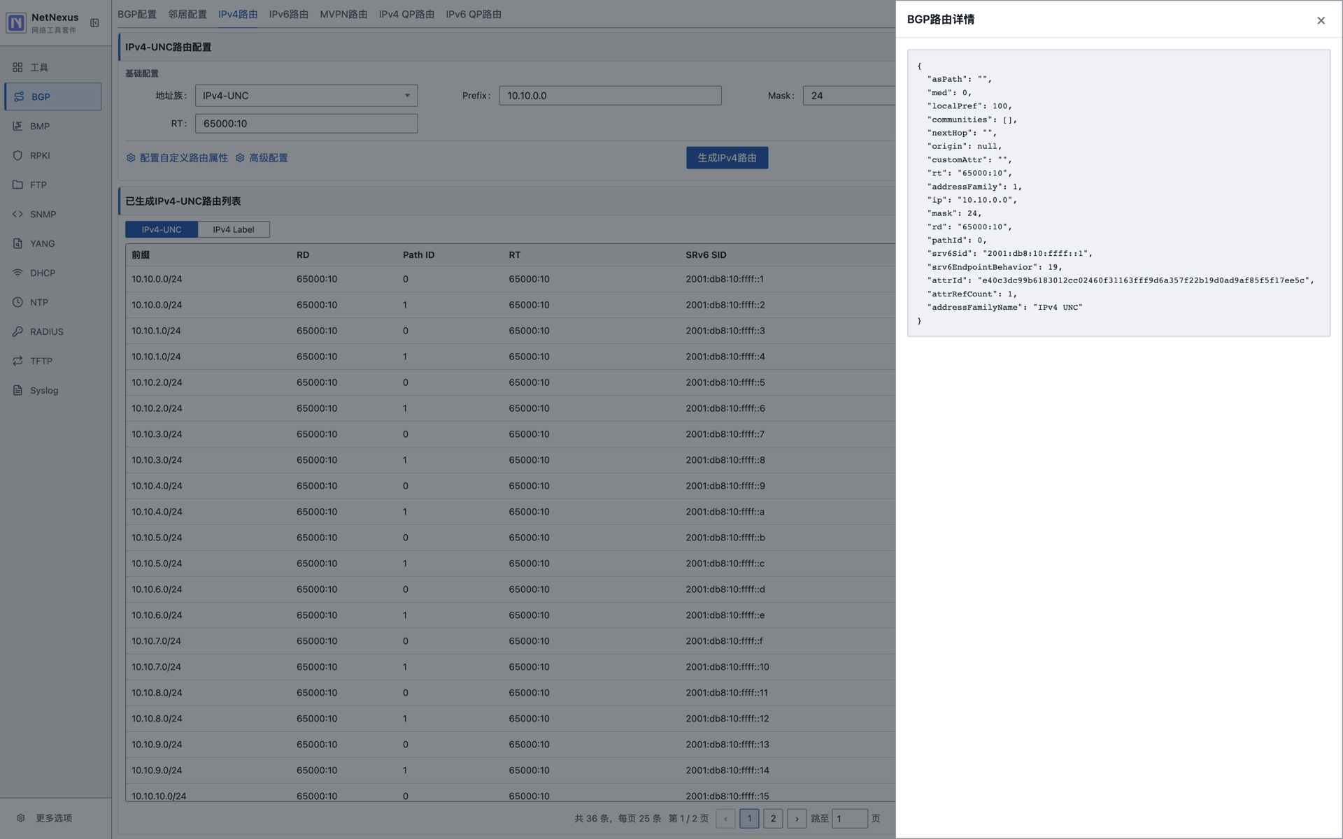 BGP IPv4 路由详情