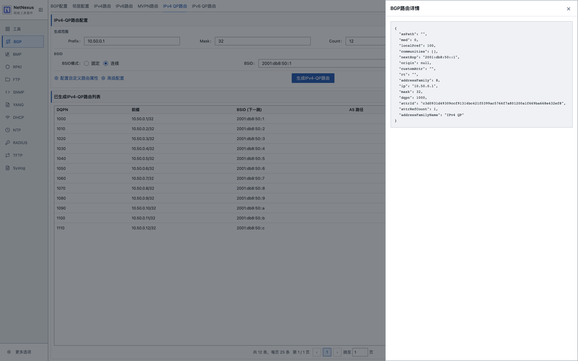 BGP IPv4 QP 路由详情