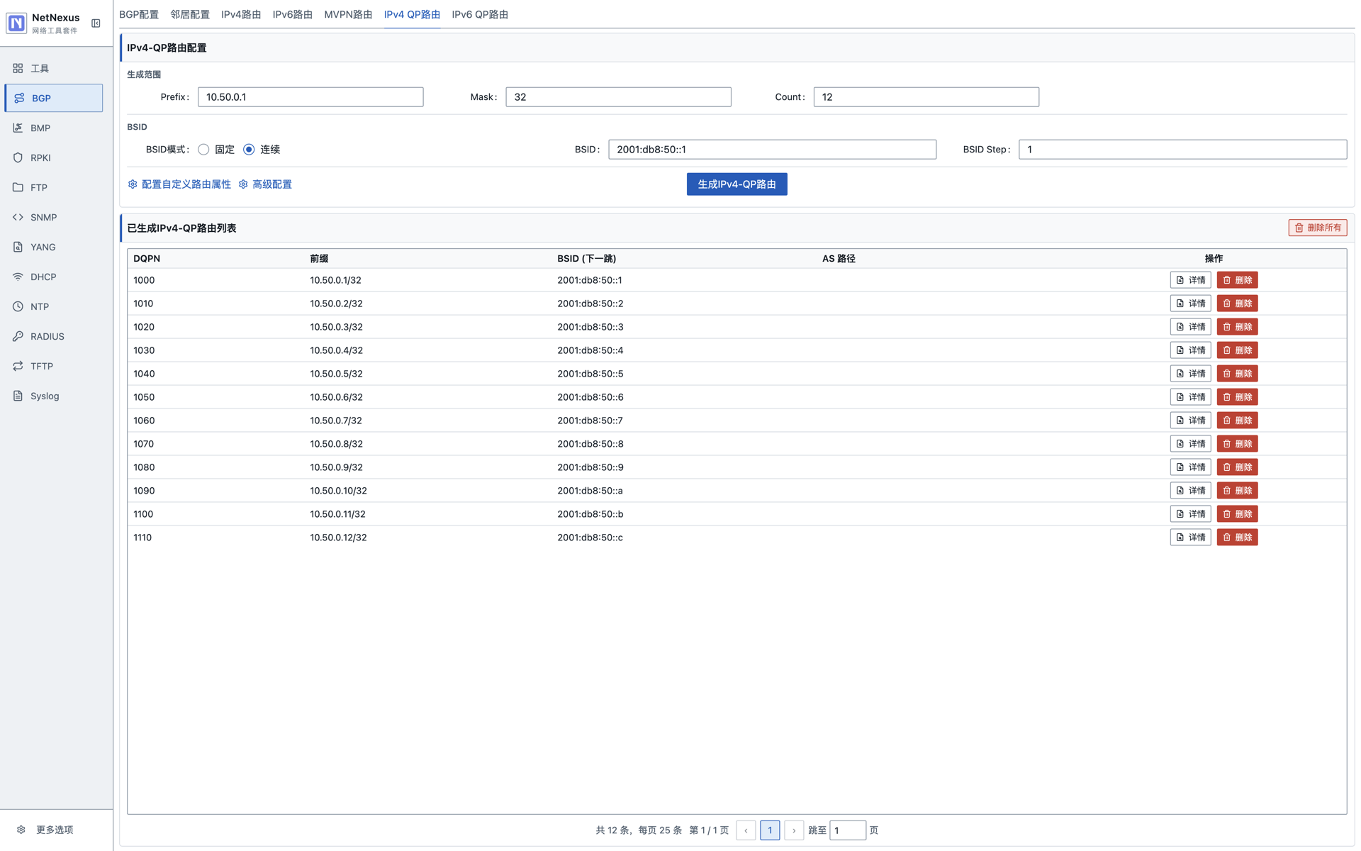BGP IPv4 QP 路由信息
