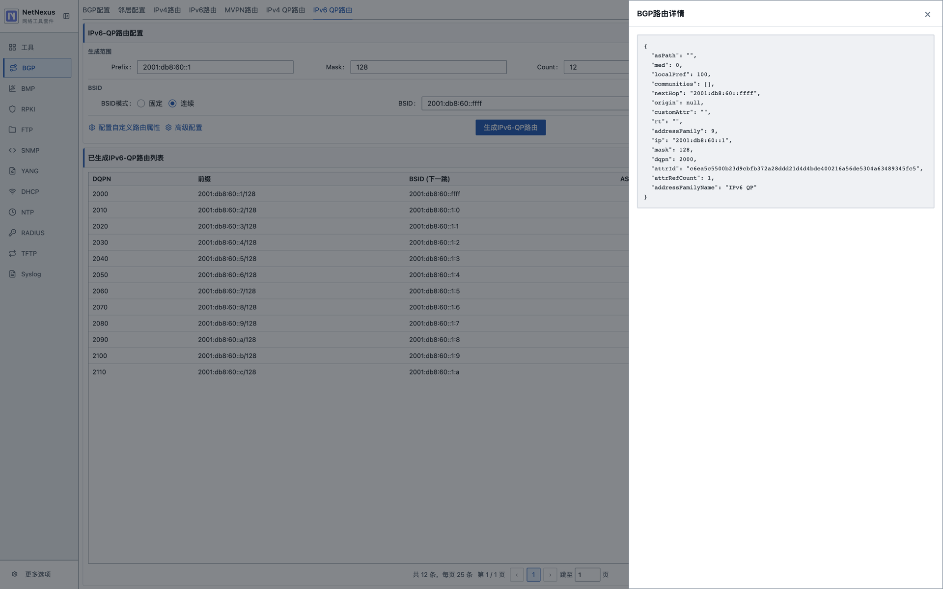 BGP IPv6 QP 路由详情