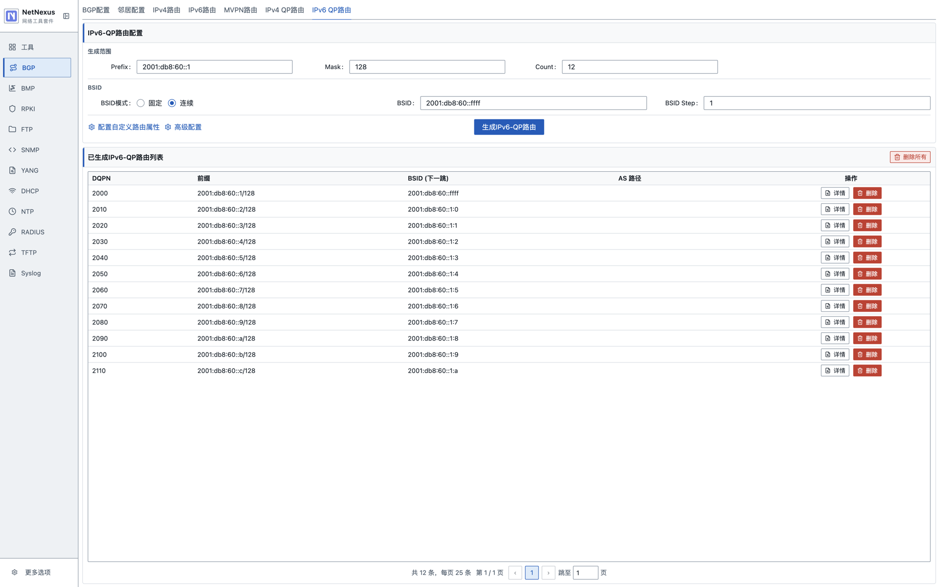 BGP IPv6 QP 路由信息